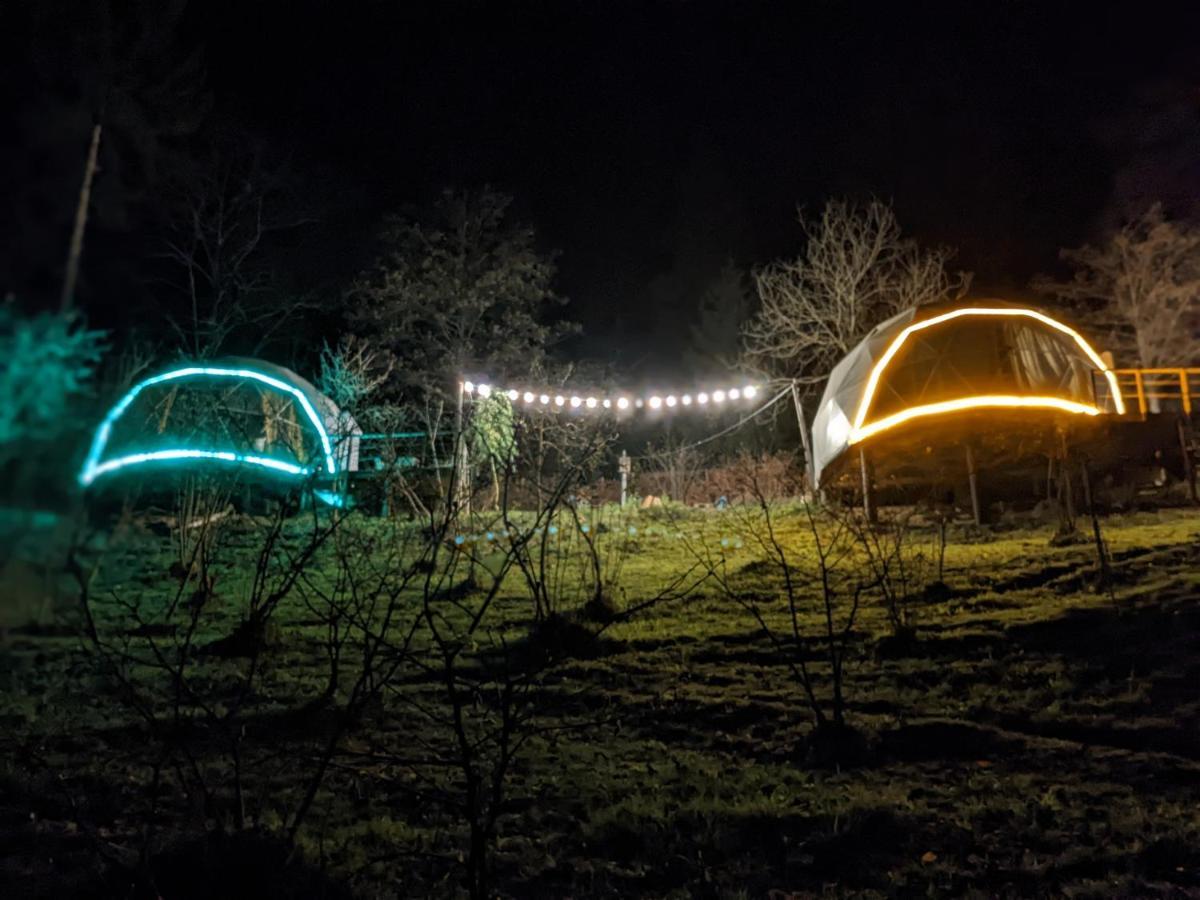 فندق Ajara Glamping Kokotauri K'eda المظهر الخارجي الصورة